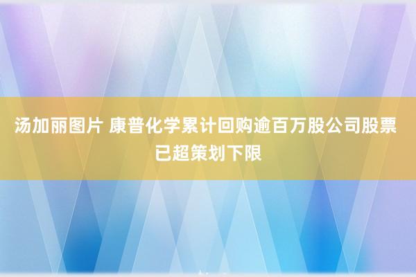 汤加丽图片 康普化学累计回购逾百万股公司股票 已超策划下限