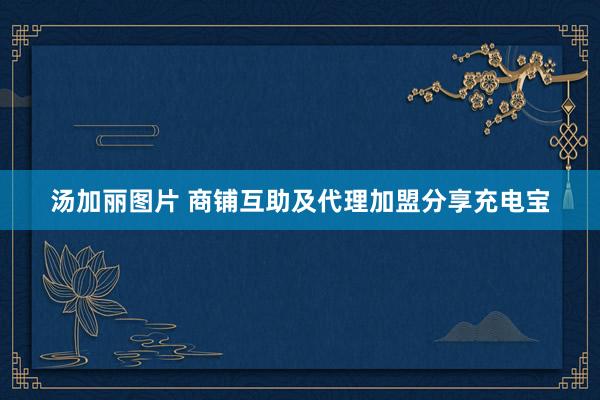 汤加丽图片 商铺互助及代理加盟分享充电宝