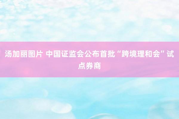 汤加丽图片 中国证监会公布首批“跨境理和会”试点券商