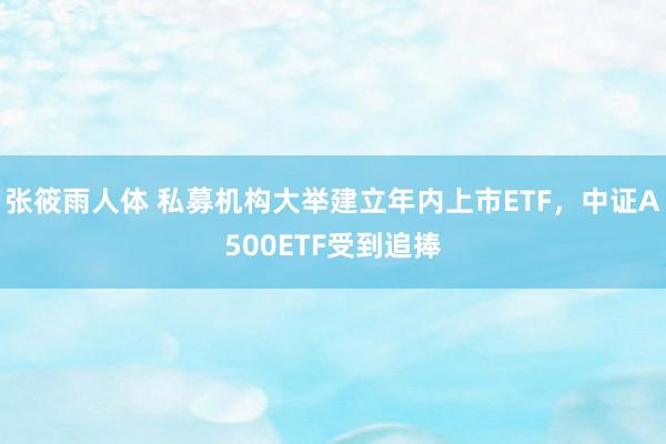 张筱雨人体 私募机构大举建立年内上市ETF，中证A500ETF受到追捧