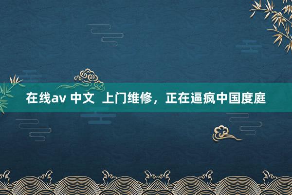 在线av 中文  上门维修，正在逼疯中国度庭