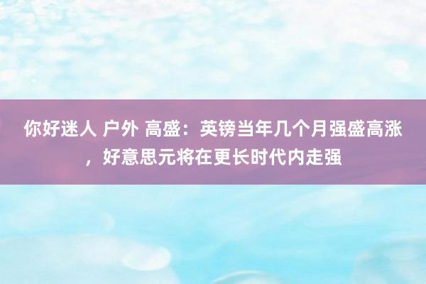 你好迷人 户外 高盛：英镑当年几个月强盛高涨，好意思元将在更长时代内走强