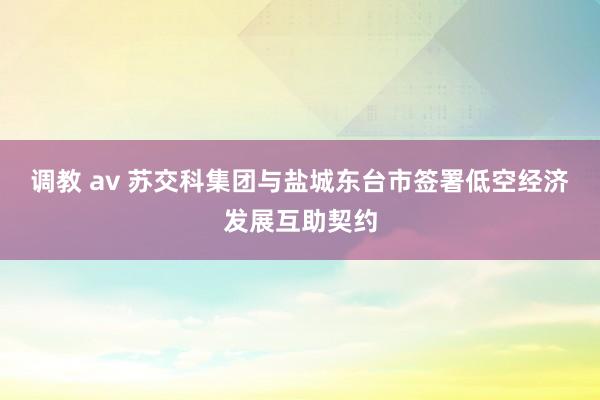 调教 av 苏交科集团与盐城东台市签署低空经济发展互助契约