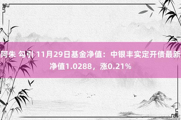 阿朱 勾引 11月29日基金净值：中银丰实定开债最新净值1.0288，涨0.21%