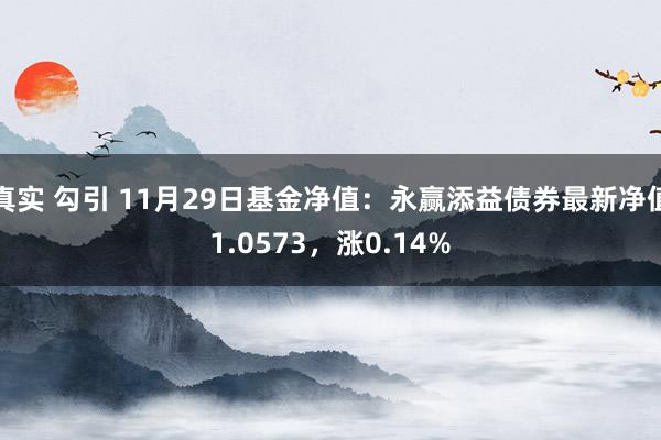 真实 勾引 11月29日基金净值：永赢添益债券最新净值1.0573，涨0.14%