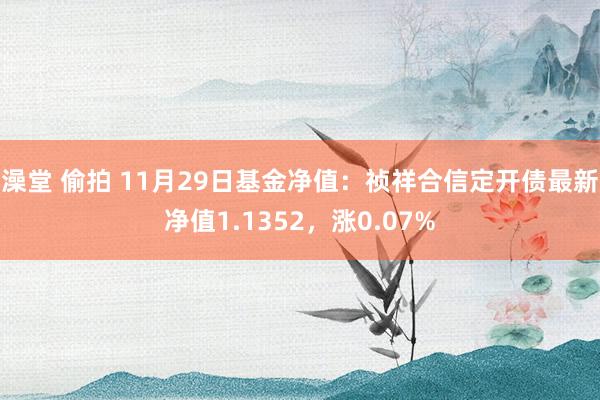 澡堂 偷拍 11月29日基金净值：祯祥合信定开债最新净值1.1352，涨0.07%