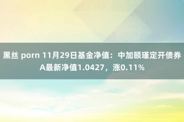 黑丝 porn 11月29日基金净值：中加颐瑾定开债券A最新净值1.0427，涨0.11%
