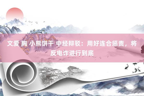 文爱 胸 小熊饼干 中经辩驳：用好连合惩责，将反电诈进行到底