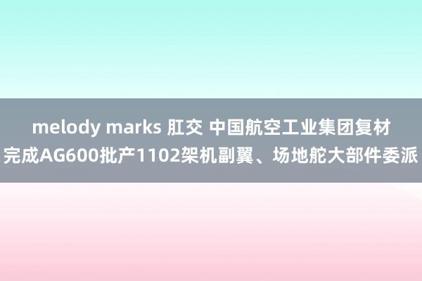 melody marks 肛交 中国航空工业集团复材完成AG600批产1102架机副翼、场地舵大部件委派