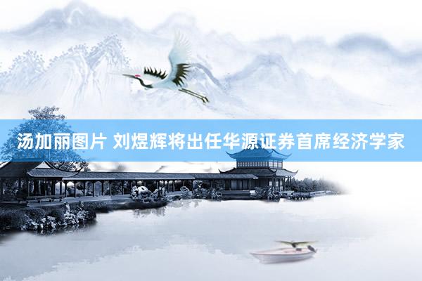 汤加丽图片 刘煜辉将出任华源证券首席经济学家