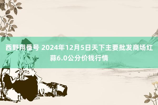 西野翔番号 2024年12月5日天下主要批发商场红蒜6.0公分价钱行情