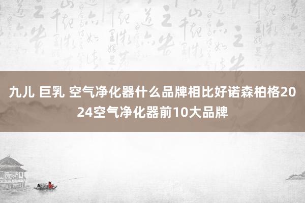 九儿 巨乳 空气净化器什么品牌相比好诺森柏格2024空气净化器前10大品牌