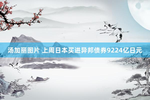 汤加丽图片 上周日本买进异邦债券9224亿日元