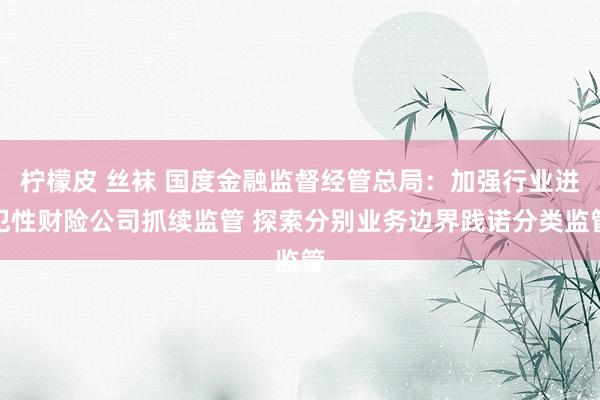 柠檬皮 丝袜 国度金融监督经管总局：加强行业进犯性财险公司抓续监管 探索分别业务边界践诺分类监管