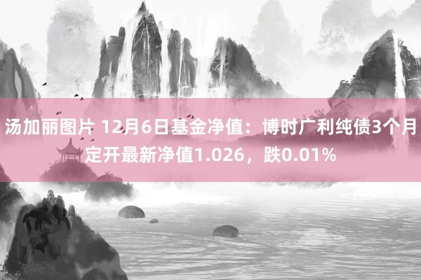 汤加丽图片 12月6日基金净值：博时广利纯债3个月定开最新净值1.026，跌0.01%