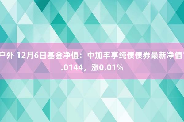 户外 12月6日基金净值：中加丰享纯债债券最新净值1.0144，涨0.01%