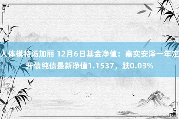 人体模特汤加丽 12月6日基金净值：嘉实安泽一年定开债纯债最新净值1.1537，跌0.03%