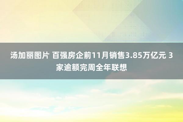 汤加丽图片 百强房企前11月销售3.85万亿元 3家逾额完周全年联想
