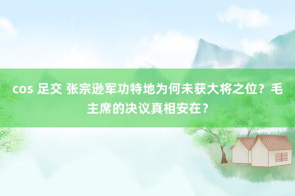 cos 足交 张宗逊军功特地为何未获大将之位？毛主席的决议真相安在？