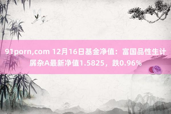 91porn，com 12月16日基金净值：富国品性生计羼杂A最新净值1.5825，跌0.96%
