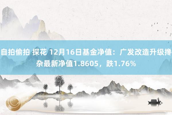 自拍偷拍 探花 12月16日基金净值：广发改造升级搀杂最新净值1.8605，跌1.76%