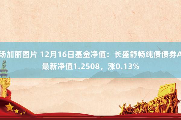 汤加丽图片 12月16日基金净值：长盛舒畅纯债债券A最新净值1.2508，涨0.13%