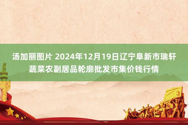 汤加丽图片 2024年12月19日辽宁阜新市瑞轩蔬菜农副居品轮廓批发市集价钱行情