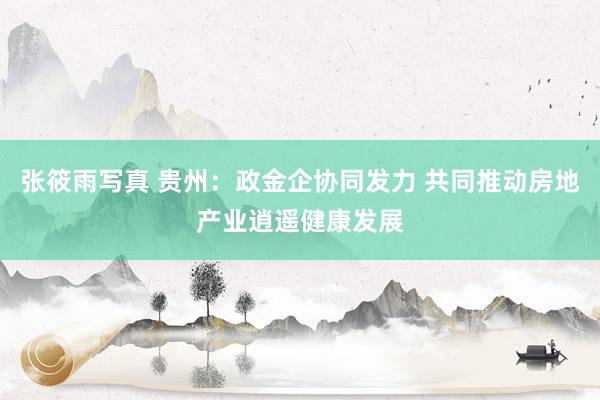 张筱雨写真 贵州：政金企协同发力 共同推动房地产业逍遥健康发展