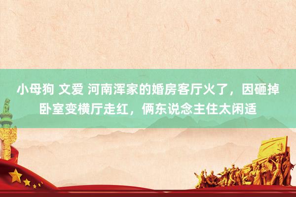 小母狗 文爱 河南浑家的婚房客厅火了，因砸掉卧室变横厅走红，俩东说念主住太闲适