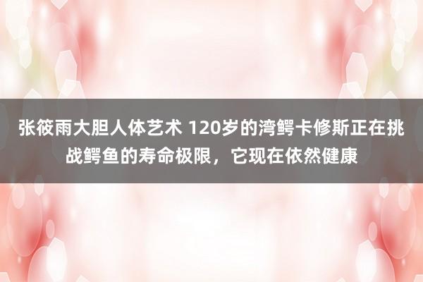 张筱雨大胆人体艺术 120岁的湾鳄卡修斯正在挑战鳄鱼的寿命极限，它现在依然健康