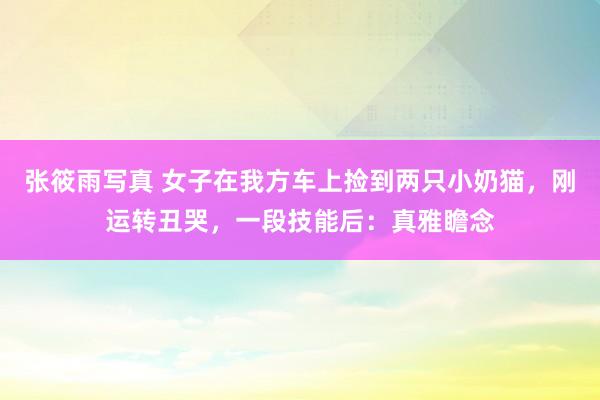 张筱雨写真 女子在我方车上捡到两只小奶猫，刚运转丑哭，一段技能后：真雅瞻念