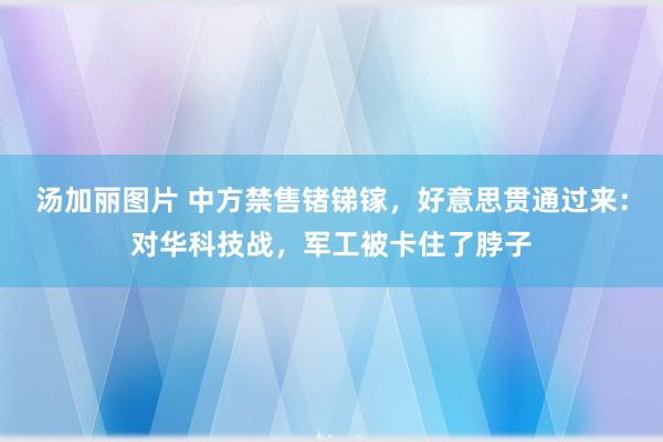 汤加丽图片 中方禁售锗锑镓，好意思贯通过来：对华科技战，军工被卡住了脖子