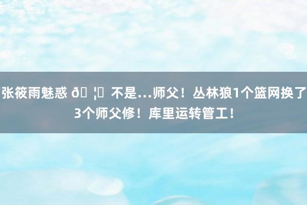 张筱雨魅惑 🦐不是…师父！丛林狼1个篮网换了3个师父修！库里运转管工！