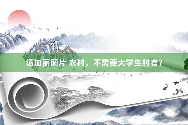汤加丽图片 农村，不需要大学生村官？