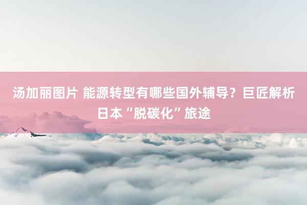 汤加丽图片 能源转型有哪些国外辅导？巨匠解析日本“脱碳化”旅途