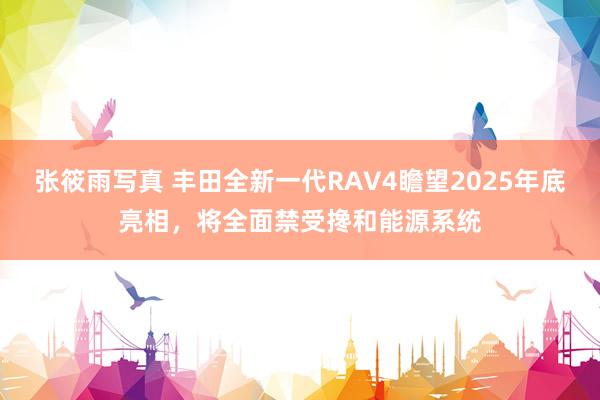 张筱雨写真 丰田全新一代RAV4瞻望2025年底亮相，将全面禁受搀和能源系统