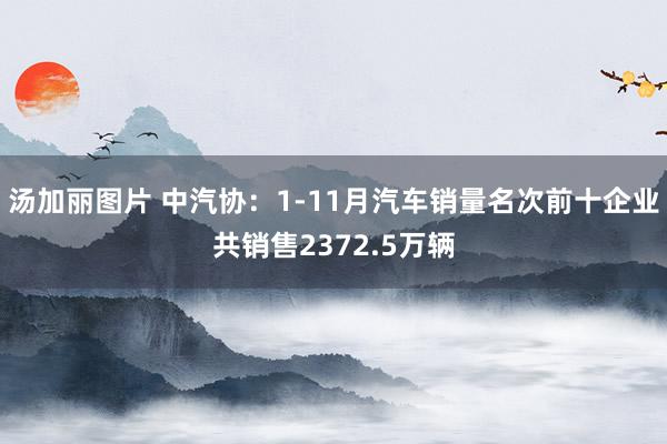 汤加丽图片 中汽协：1-11月汽车销量名次前十企业共销售2372.5万辆