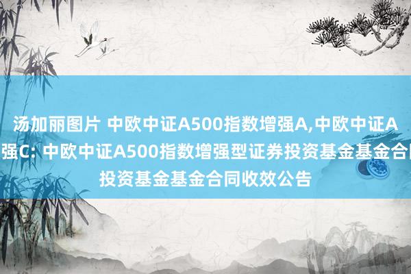 汤加丽图片 中欧中证A500指数增强A,中欧中证A500指数增强C: 中欧中证A500指数增强型证券投资基金基金合同收效公告
