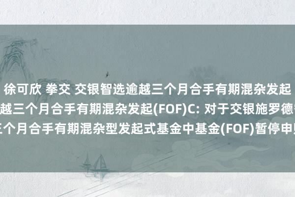 徐可欣 拳交 交银智选逾越三个月合手有期混杂发起(FOF)A,交银智选逾越三个月合手有期混杂发起(FOF)C: 对于交银施罗德智选逾越三个月合手有期混杂型发起式基金中基金(FOF)暂停申购、赎回和依期定额投资业务的公告