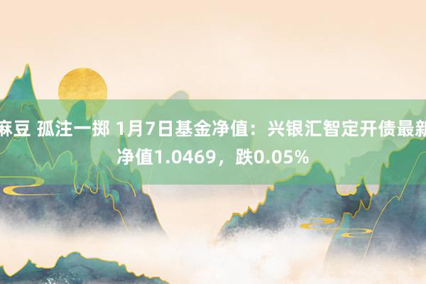 麻豆 孤注一掷 1月7日基金净值：兴银汇智定开债最新净值1.0469，跌0.05%