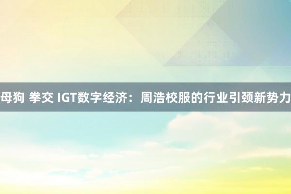 母狗 拳交 IGT数字经济：周浩校服的行业引颈新势力