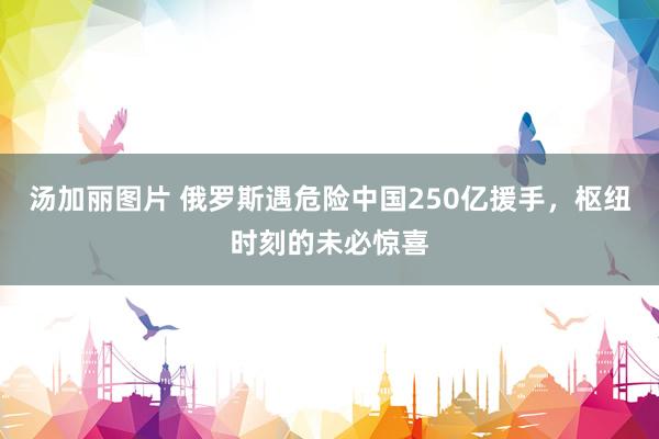 汤加丽图片 俄罗斯遇危险中国250亿援手，枢纽时刻的未必惊喜