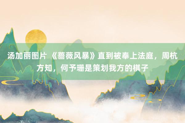 汤加丽图片 《蔷薇风暴》直到被奉上法庭，周杭方知，何予珊是策划我方的棋子