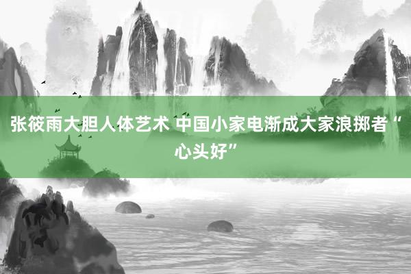 张筱雨大胆人体艺术 中国小家电渐成大家浪掷者“心头好”