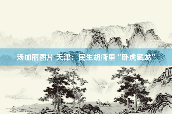 汤加丽图片 天津：民生胡衕里“卧虎藏龙”