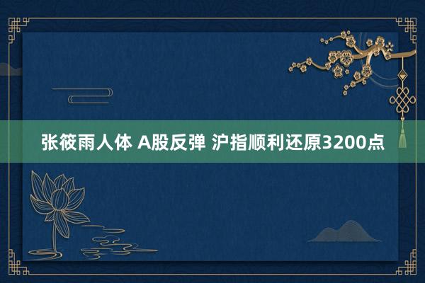 张筱雨人体 A股反弹 沪指顺利还原3200点