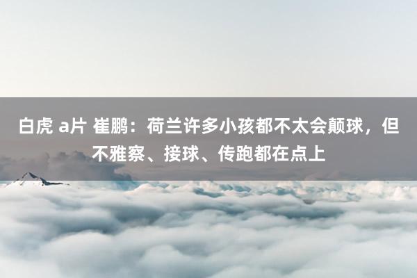 白虎 a片 崔鹏：荷兰许多小孩都不太会颠球，但不雅察、接球、传跑都在点上