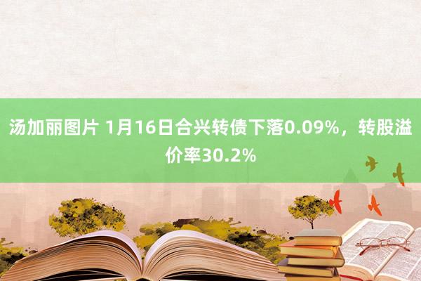 汤加丽图片 1月16日合兴转债下落0.09%，转股溢价率30.2%
