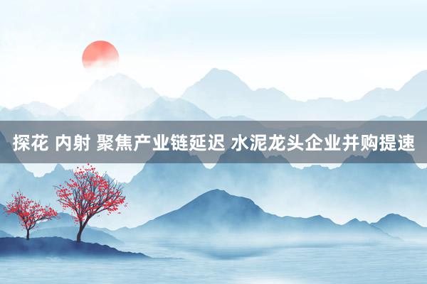 探花 内射 聚焦产业链延迟 水泥龙头企业并购提速