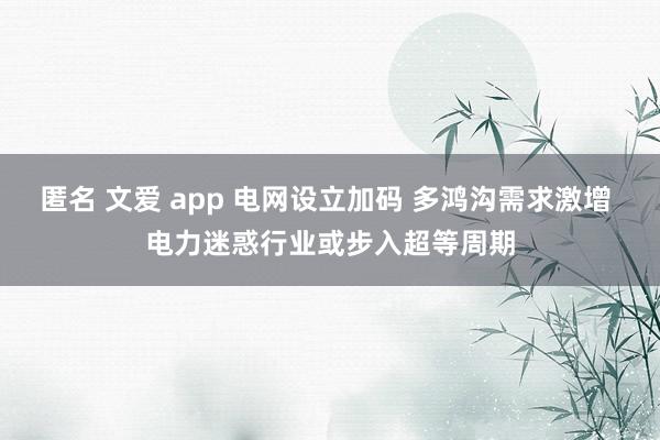 匿名 文爱 app 电网设立加码 多鸿沟需求激增 电力迷惑行业或步入超等周期